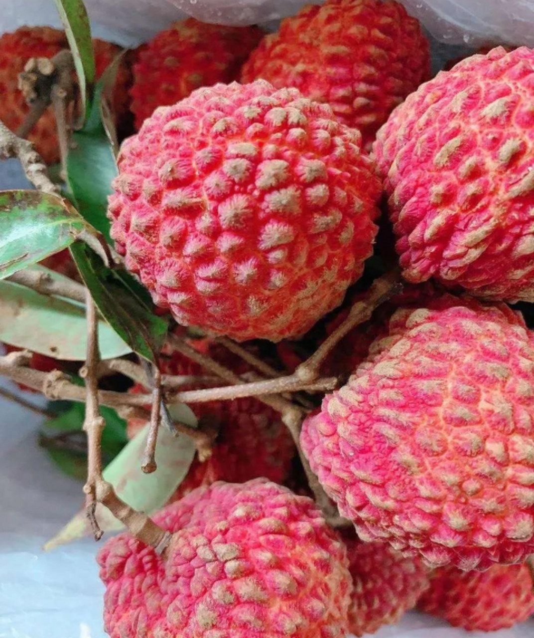 我是带货王#  【最好吃的荔枝--永兴火山岩荔枝王】  永兴火山岩荔枝