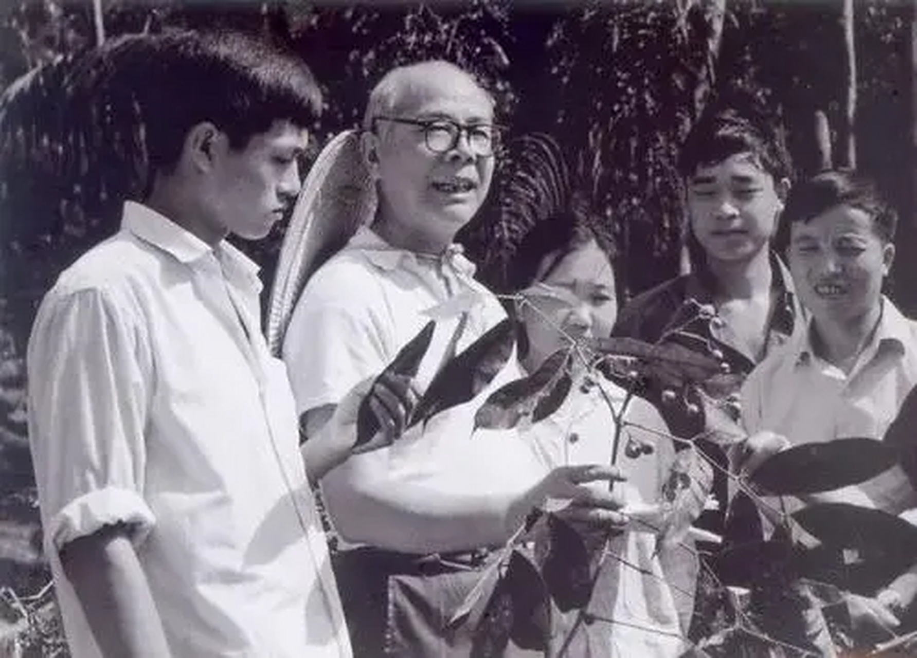 人物纪念# 著名植物学家蔡希陶逝世51年 在41年前的今天,1981年3月9