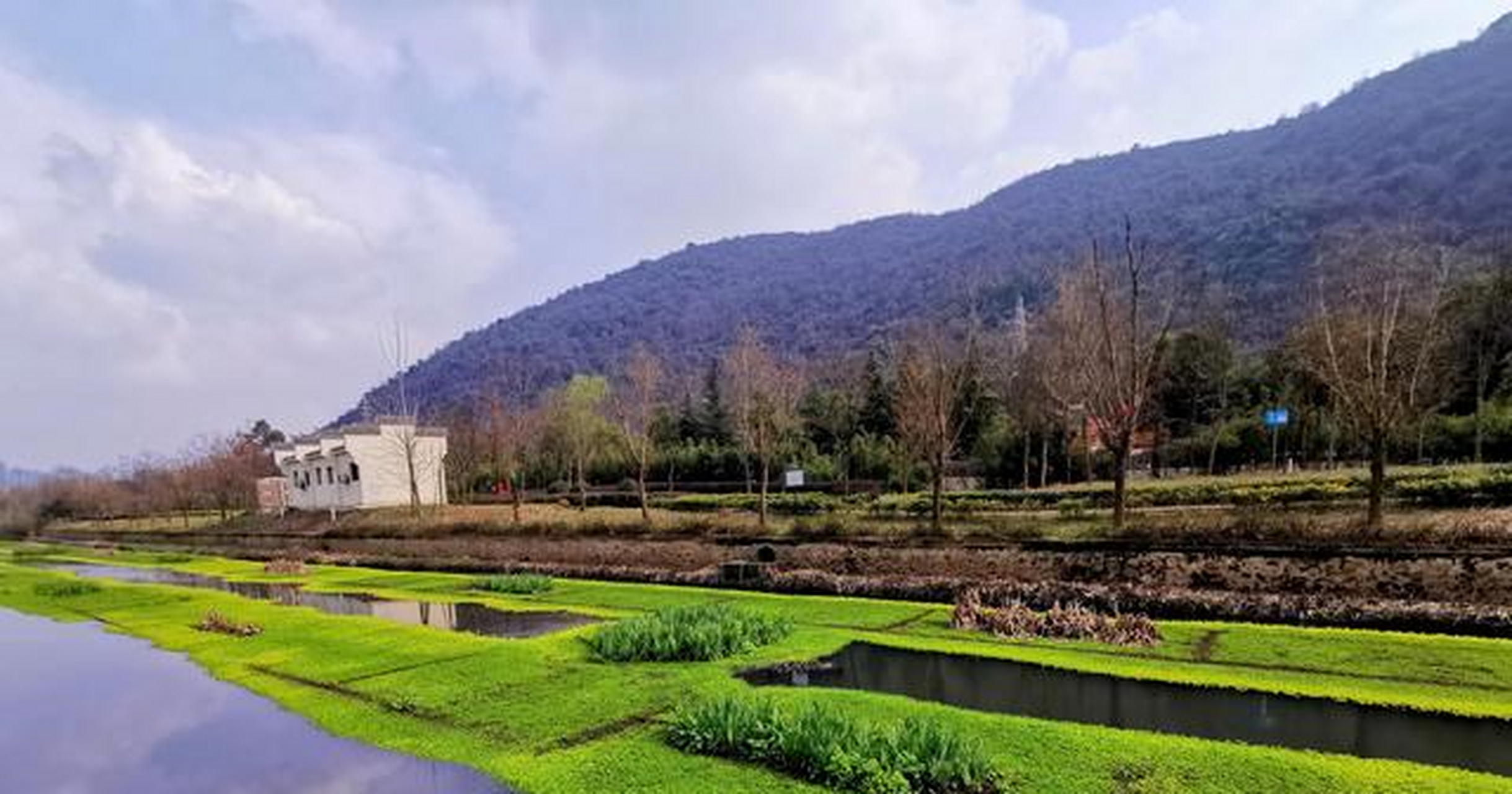 新年的磁湖湿地公园春意盎然[?