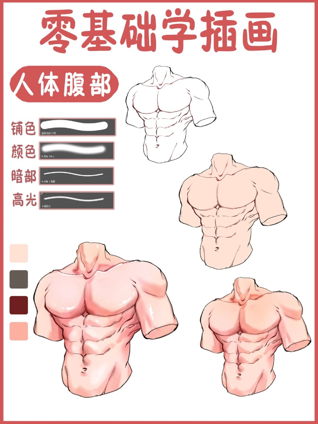 零基础学插画 男性胸腹肌画法