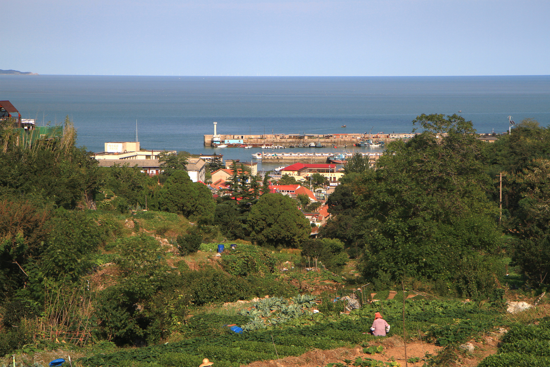 青山渔村,位于青岛崂山风景区垭口,从仰口到垭口有青岛最美的滨海公路