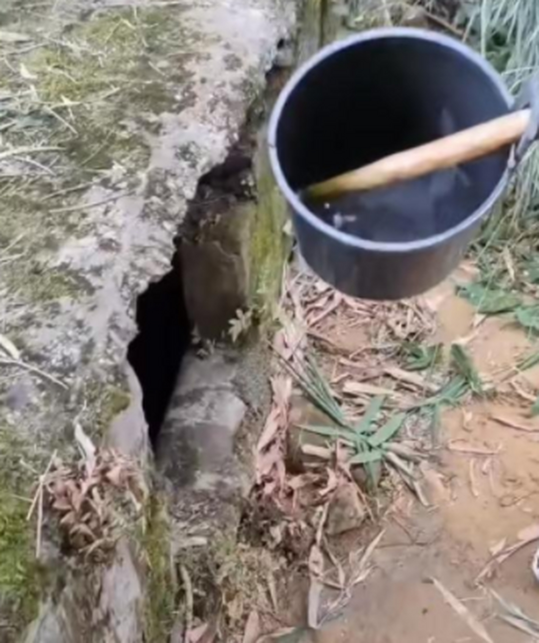 别有顾虑,瓢的名字叫粪瓢,但是它也是第一次呀!所以装水也是纯洁的
