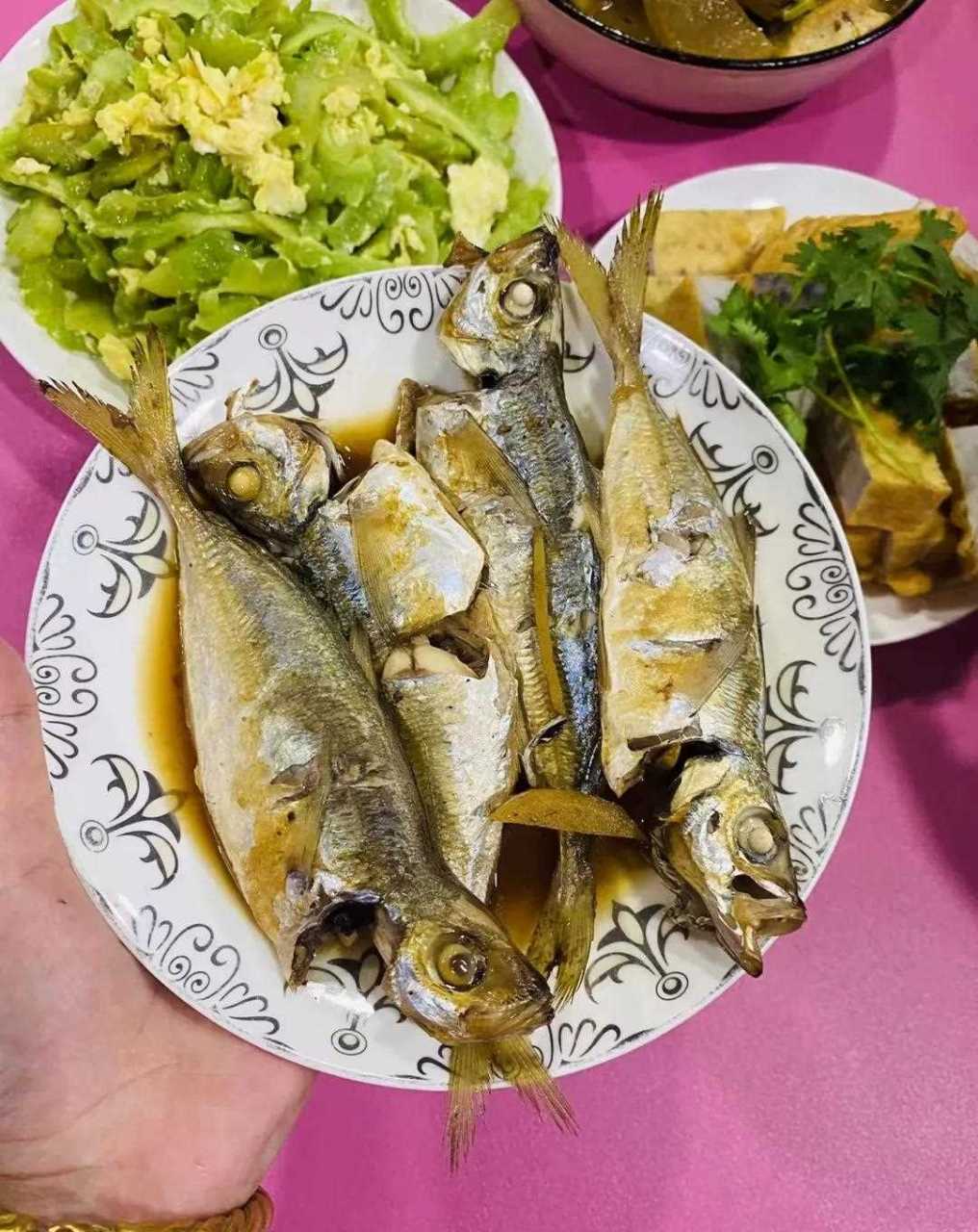 生态养殖新鲜巴浪鱼个头肉多[色]