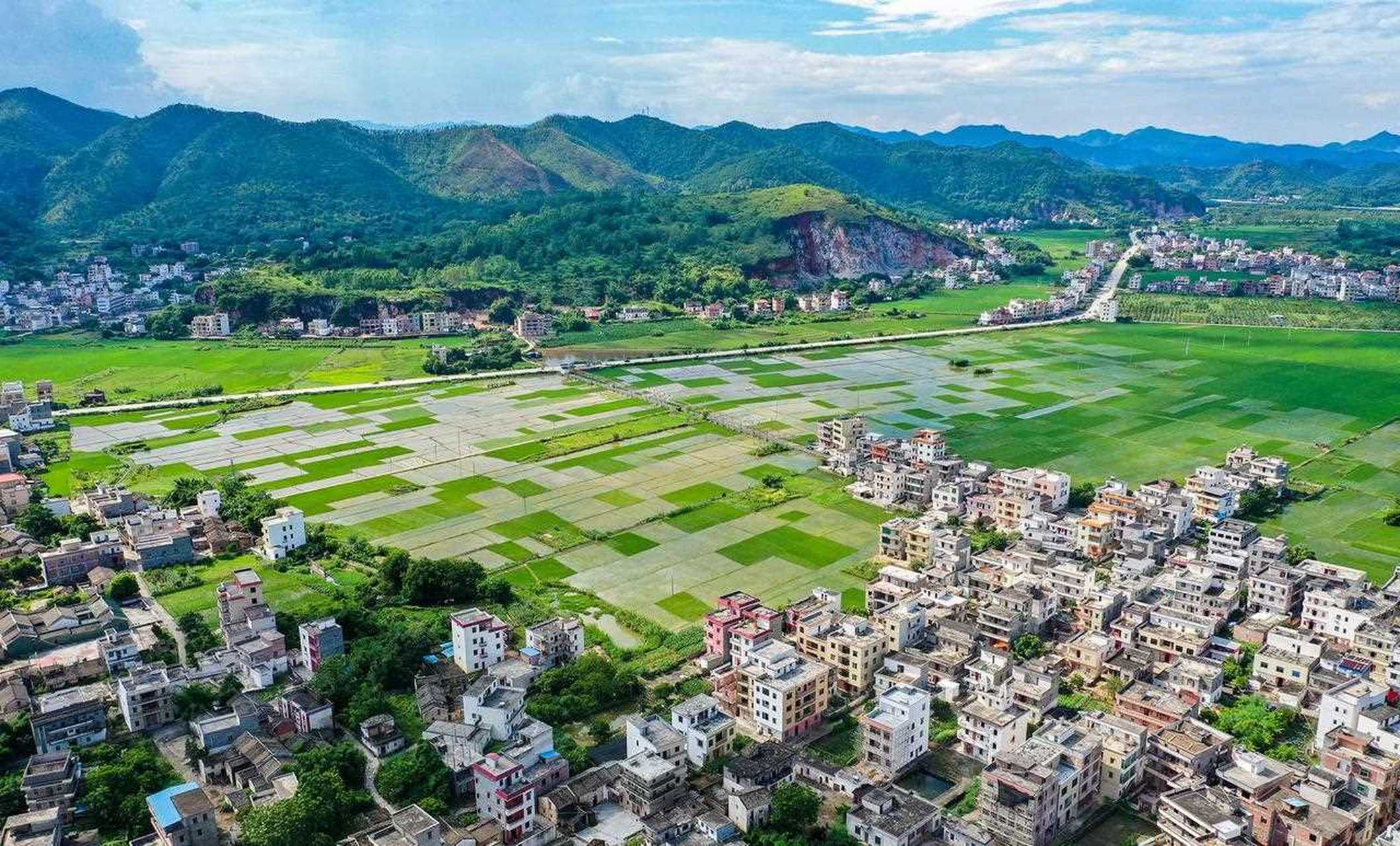 郁南连滩镇风景图片