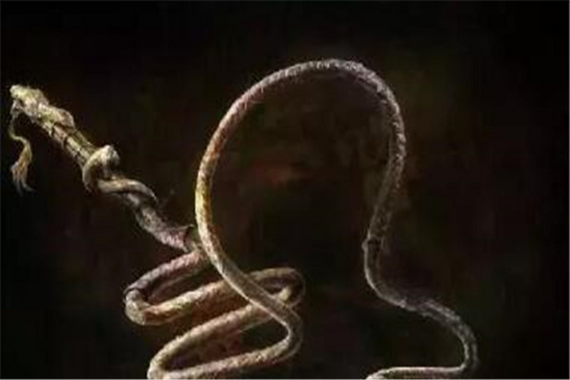 先天十大灵宝之一七星挽月鞭    在先天十大灵宝中七星挽月鞭是吸收了