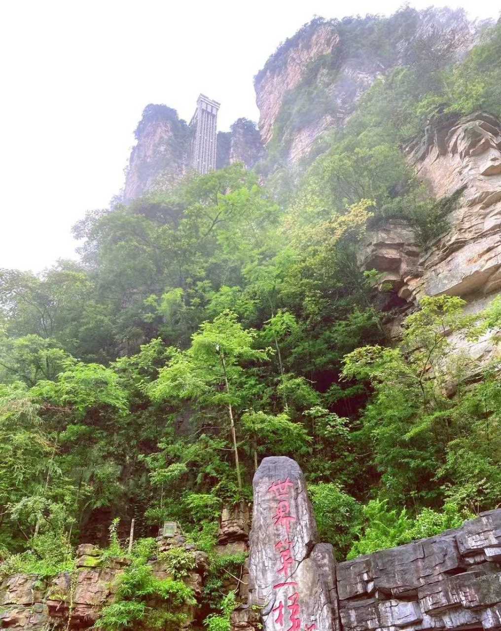 今天的張家界,天氣太給力了[暈]