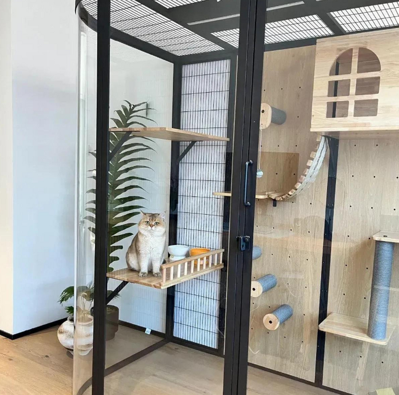 给猫咪建造的别墅你看看怎么样,是不是很高端大气呢