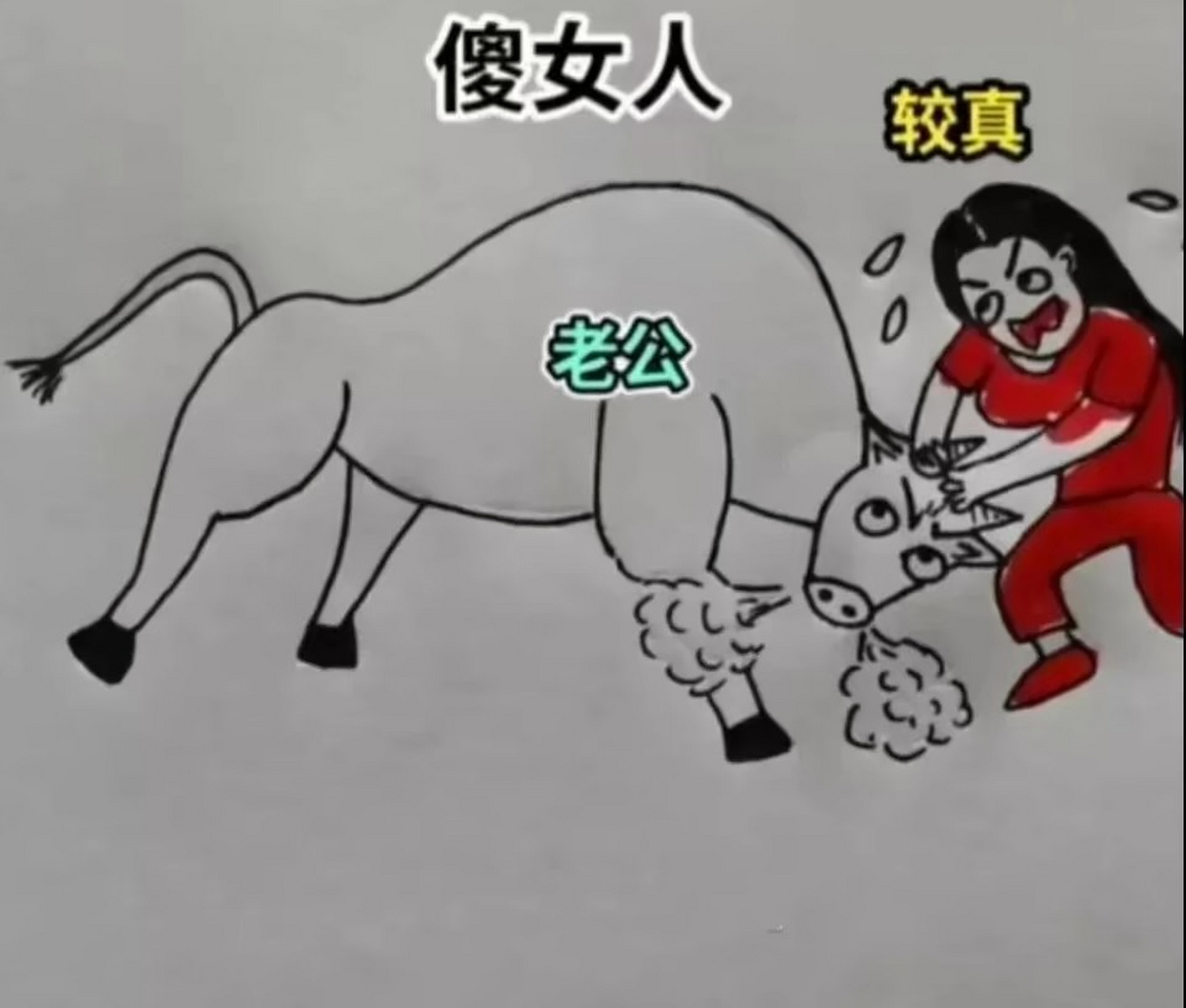 聪明女人与傻女人的区别