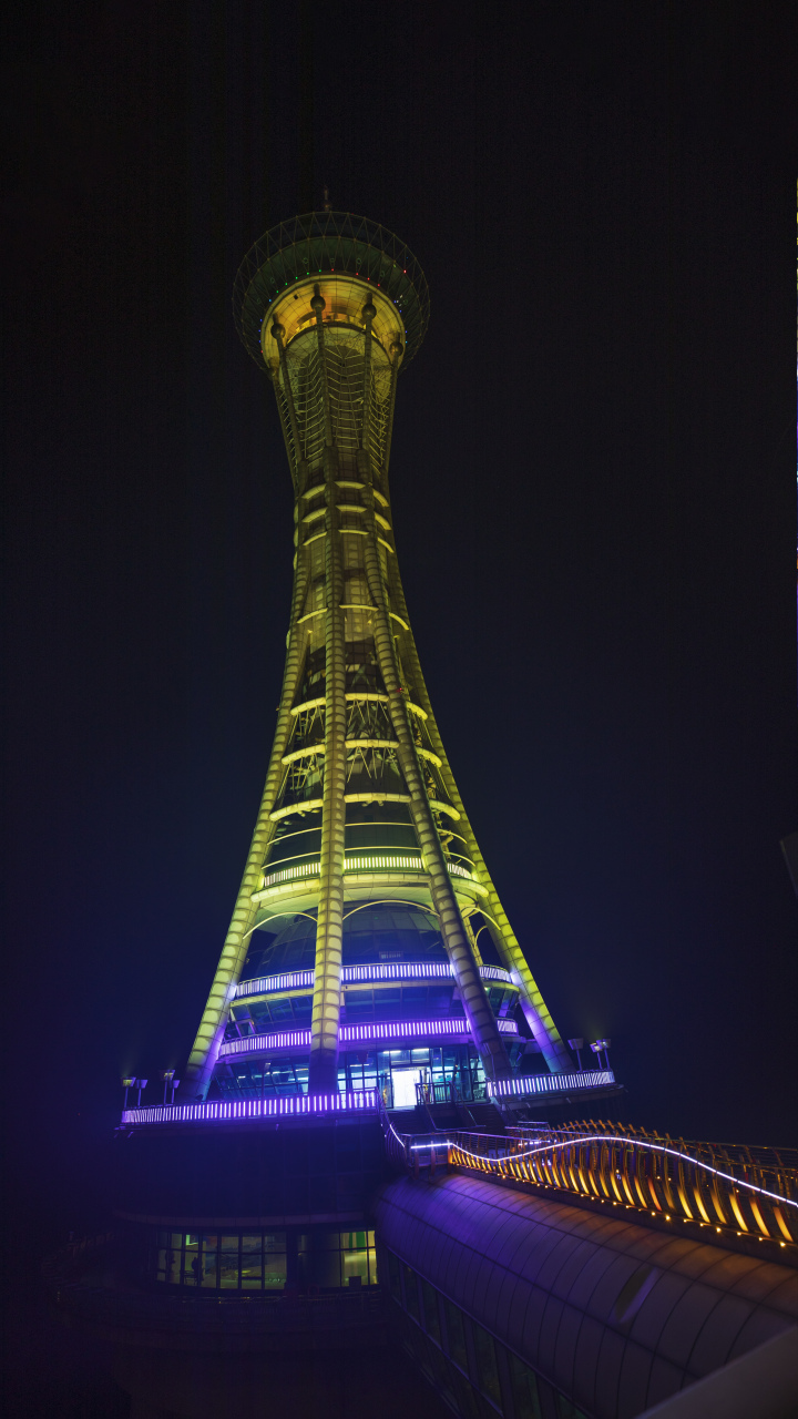 杭州湾大桥夜景图片