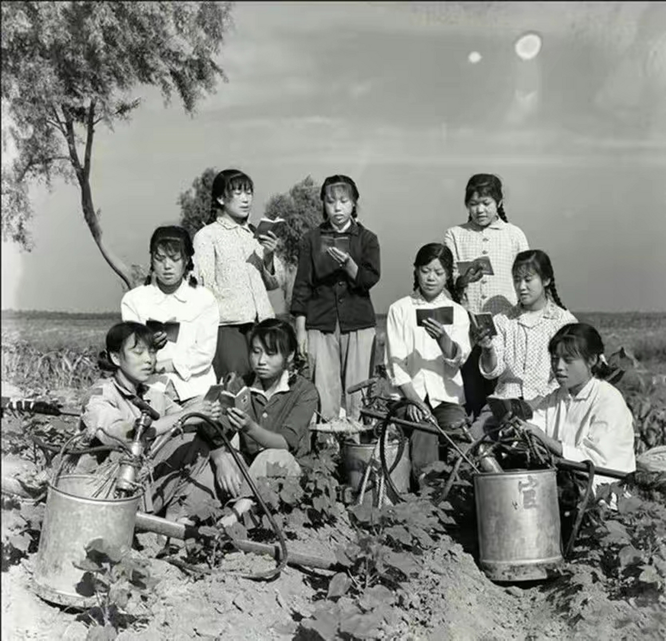 当年的知识青年上山下乡,看他们脸上时刻洋溢着笑容,这就是青春的样子