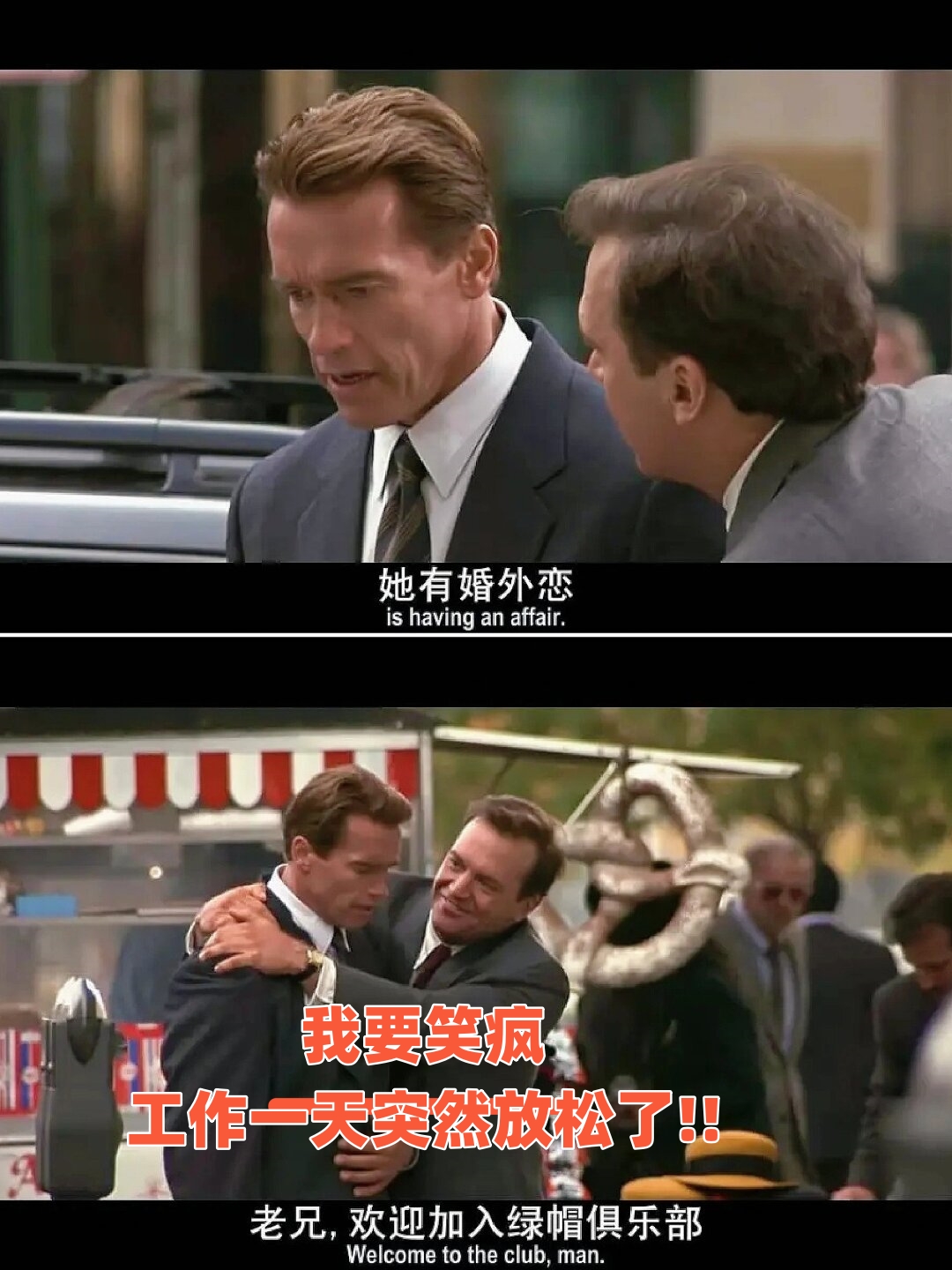 《真实的谎言》是一部绝对精彩的大片!