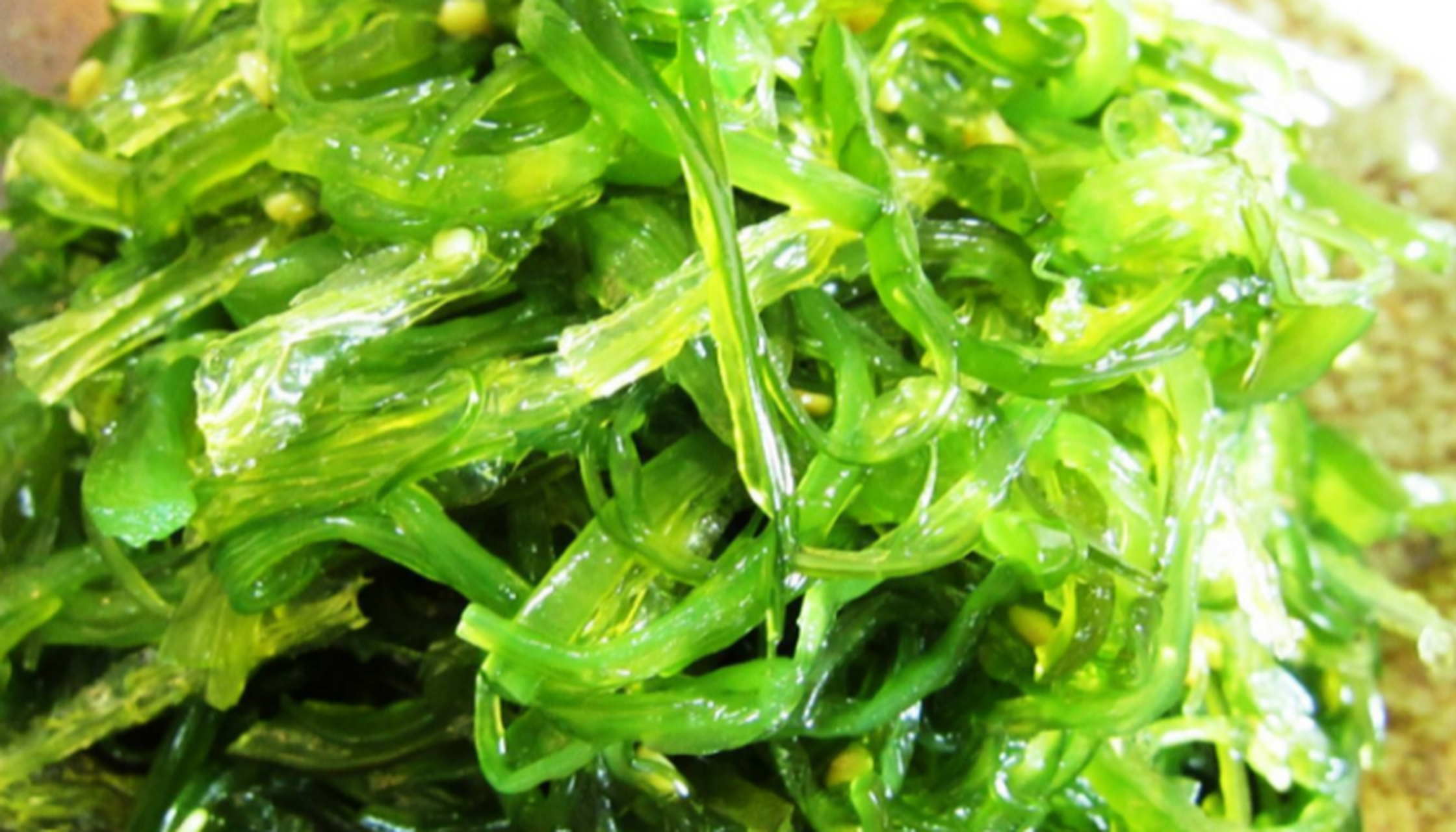 藻类植物 藻类在光合作用下会产生能量,是一种很简单的植物,有27000余