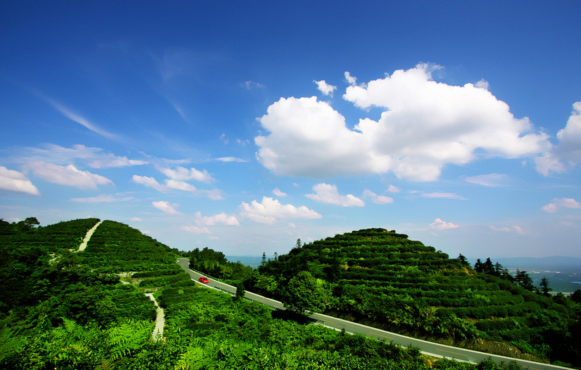 茶山竹海景点图片