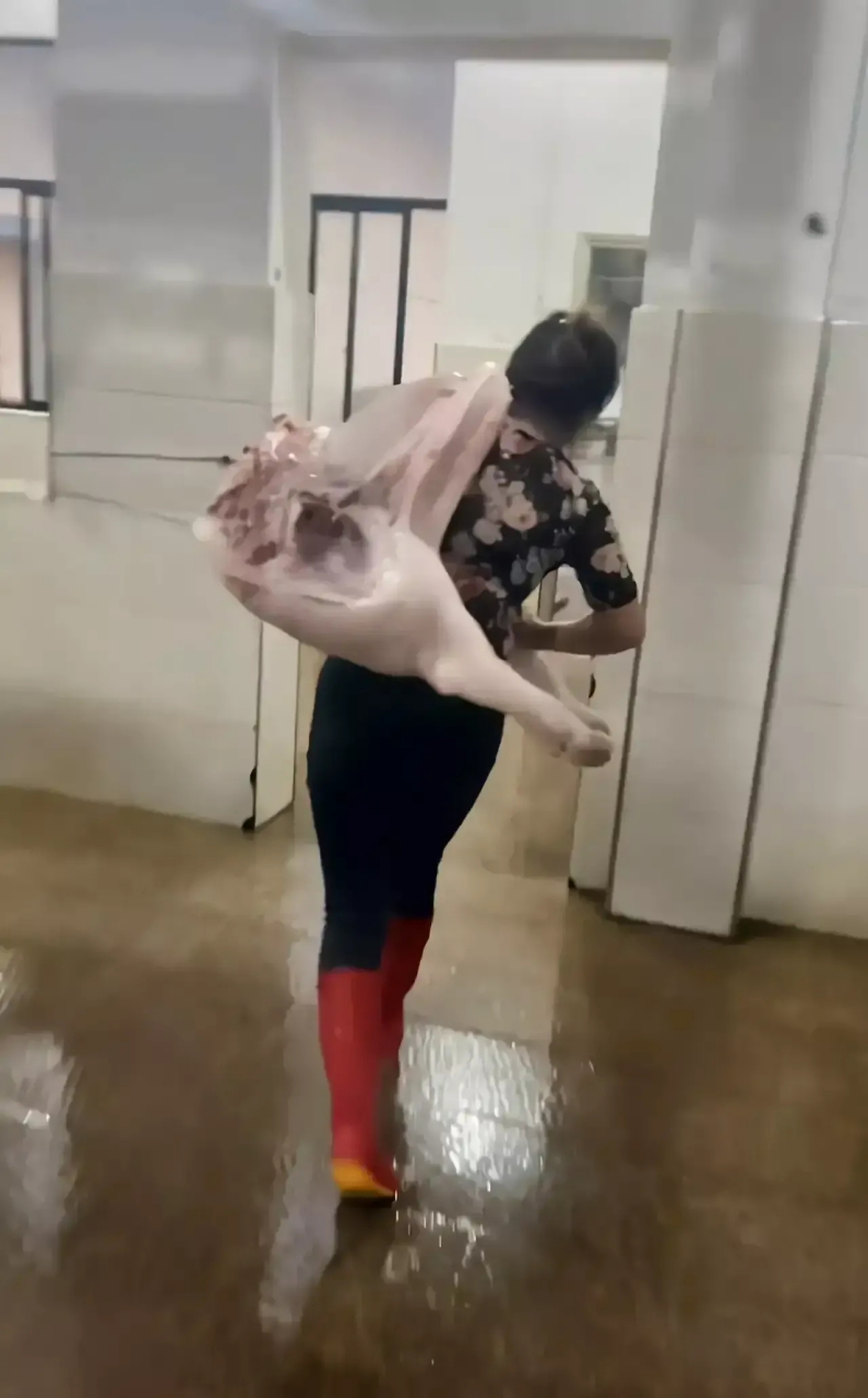 近日,江西南昌,一对在屠宰场杀猪的姐妹花火了,这位姐妹花都是30出头