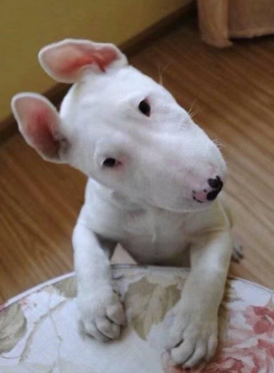 孙红雷怕女儿认不出他,他想多了.