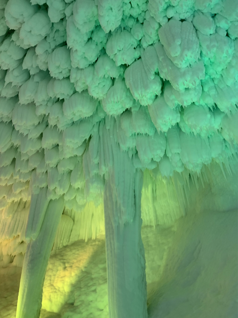 开车带你的家人去裘芸山一日游[期待] 我提前一天在旅行社买了票.