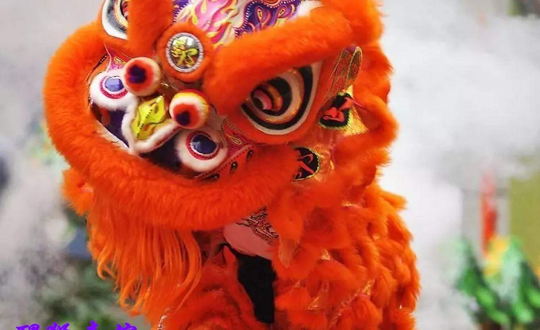 舞脱胎而来,五代十国之后,随着中原移民的南迁,舞狮文化传入岭南地区