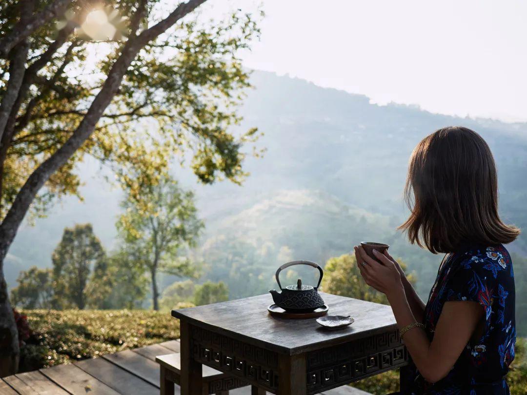 美女安静淡然喝茶图片图片