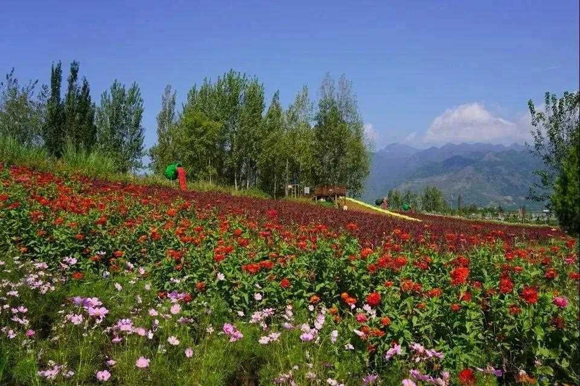 汉王镇花溪湾 想要体验乡村生活,汉王镇花溪湾一定是您的首选,这里集