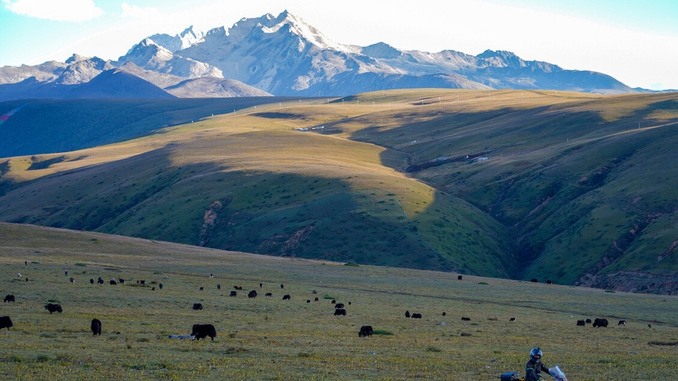 康定市的塔公草原位于3730米的高原地带,面积超700平方公里,广袤无垠