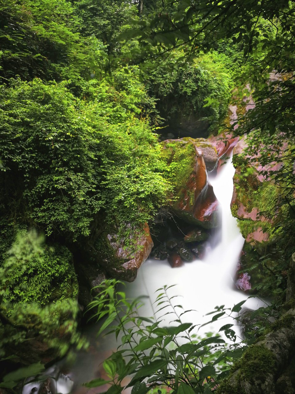 黑竹沟风景区,位于峨边县境西南,地处小凉山深处.
