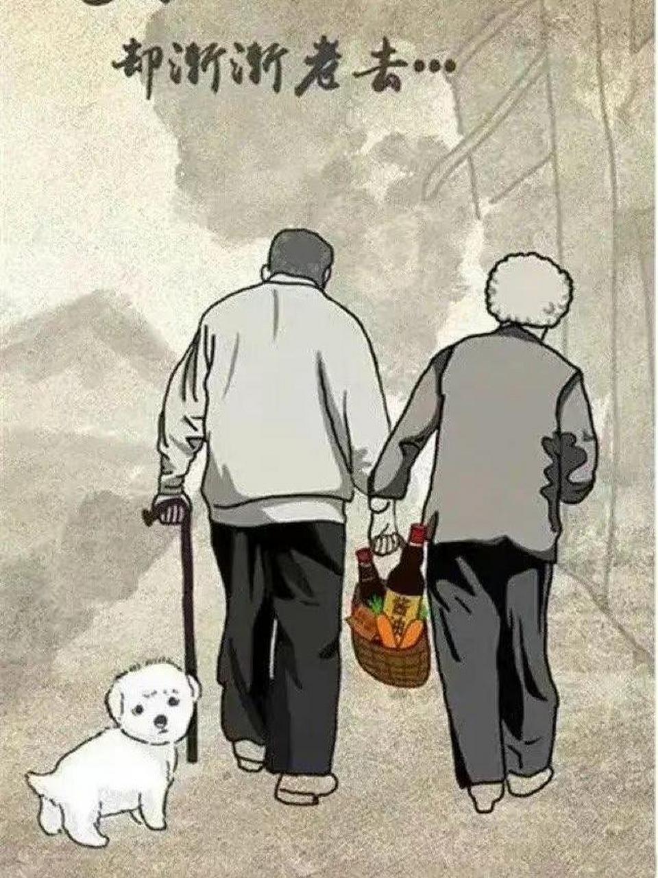 看着父母渐渐老去的背影,你心里有没有泛起一丝波澜.