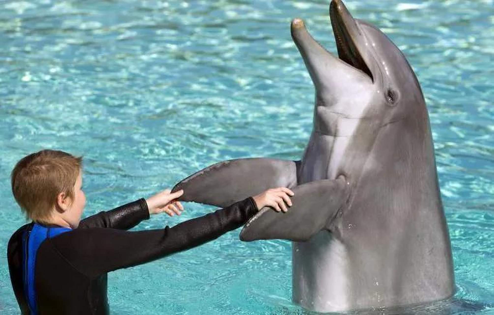 人类与海豚相比,呼吸能力差远了.