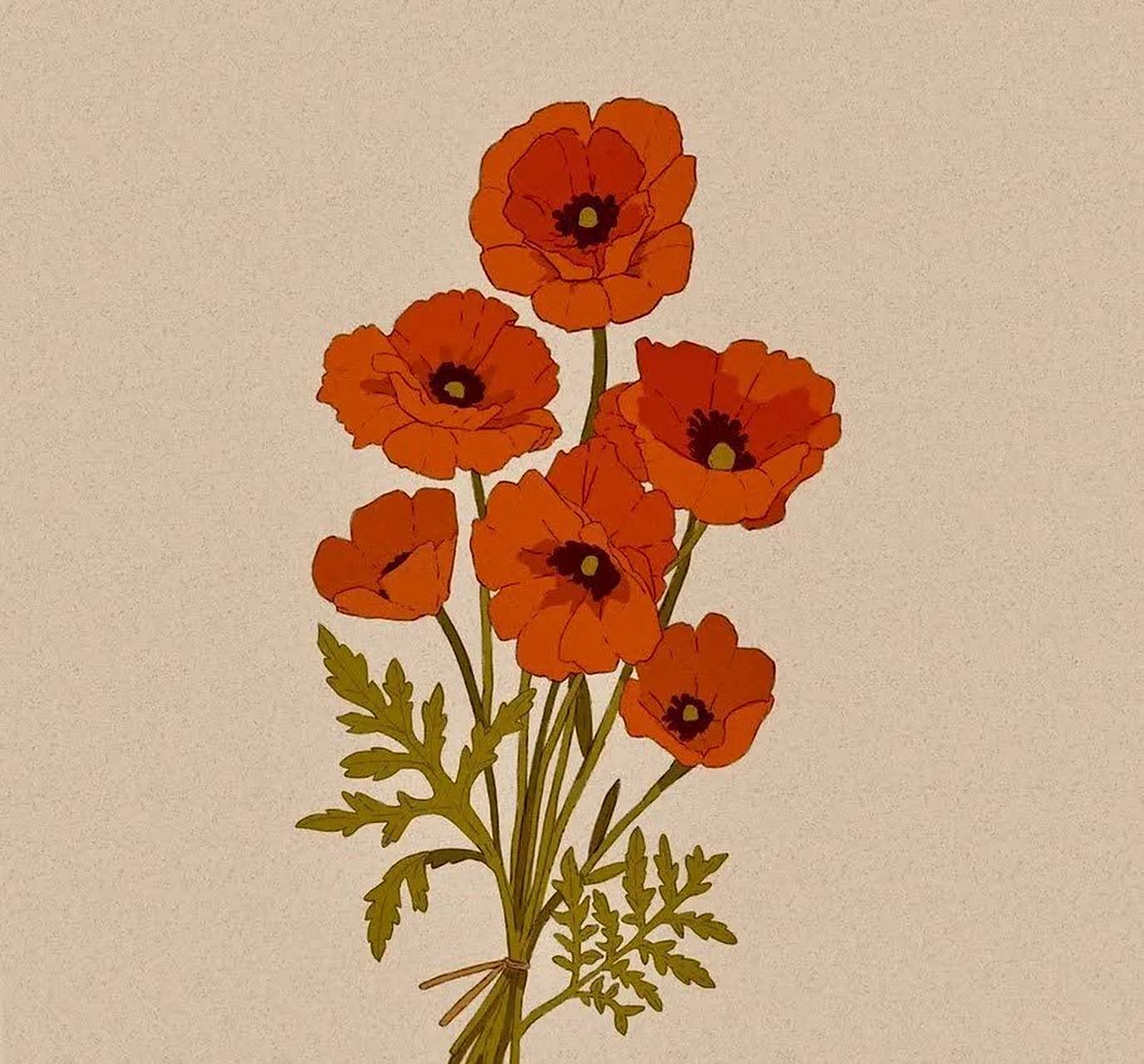 简单优雅,花束插画.