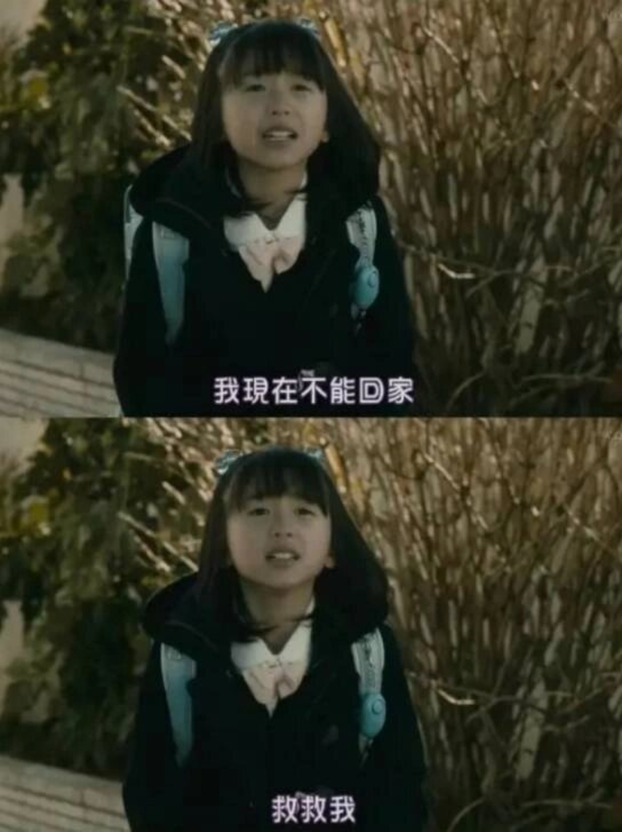 超级复仇日剧  《玻璃芦苇》是wowow出品的日剧,由三岛有纪子执导,永