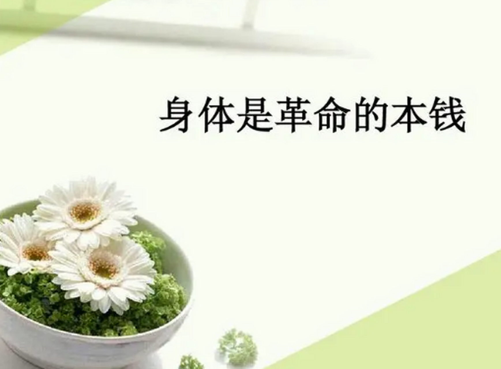 身体是革命的本钱,保重身体,才能有更好的创作.