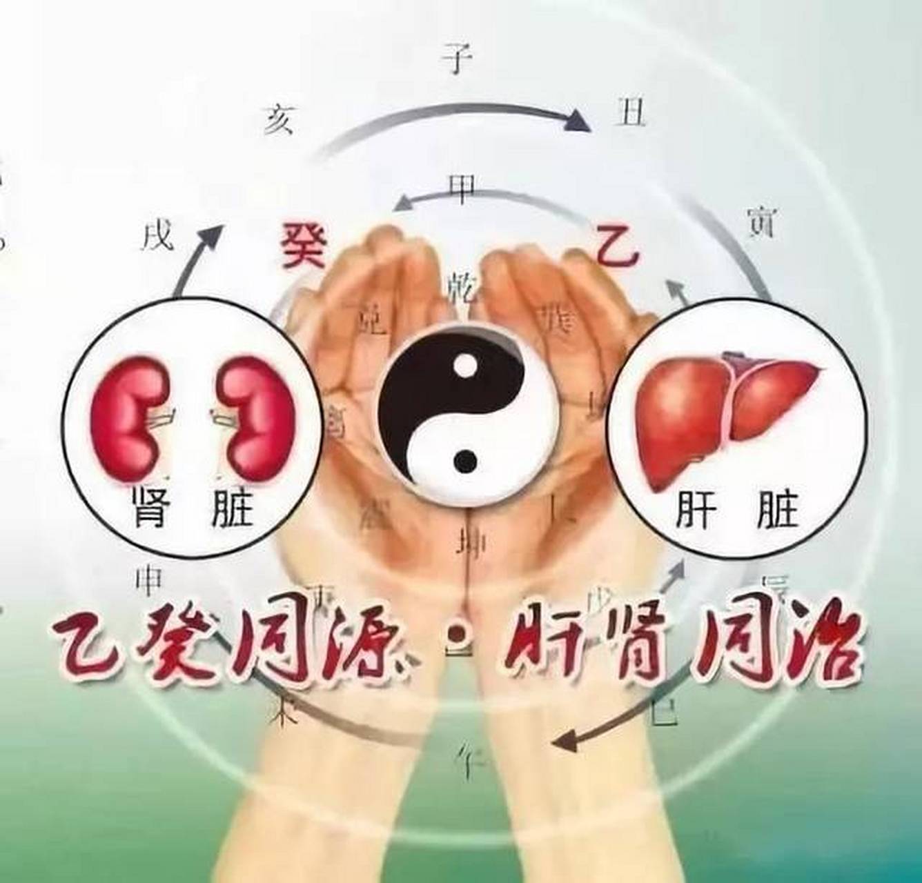 糖尿病,多半是肝肾虚了,需滋肾清肝  糖尿病说到底是由于阴阳失衡导致