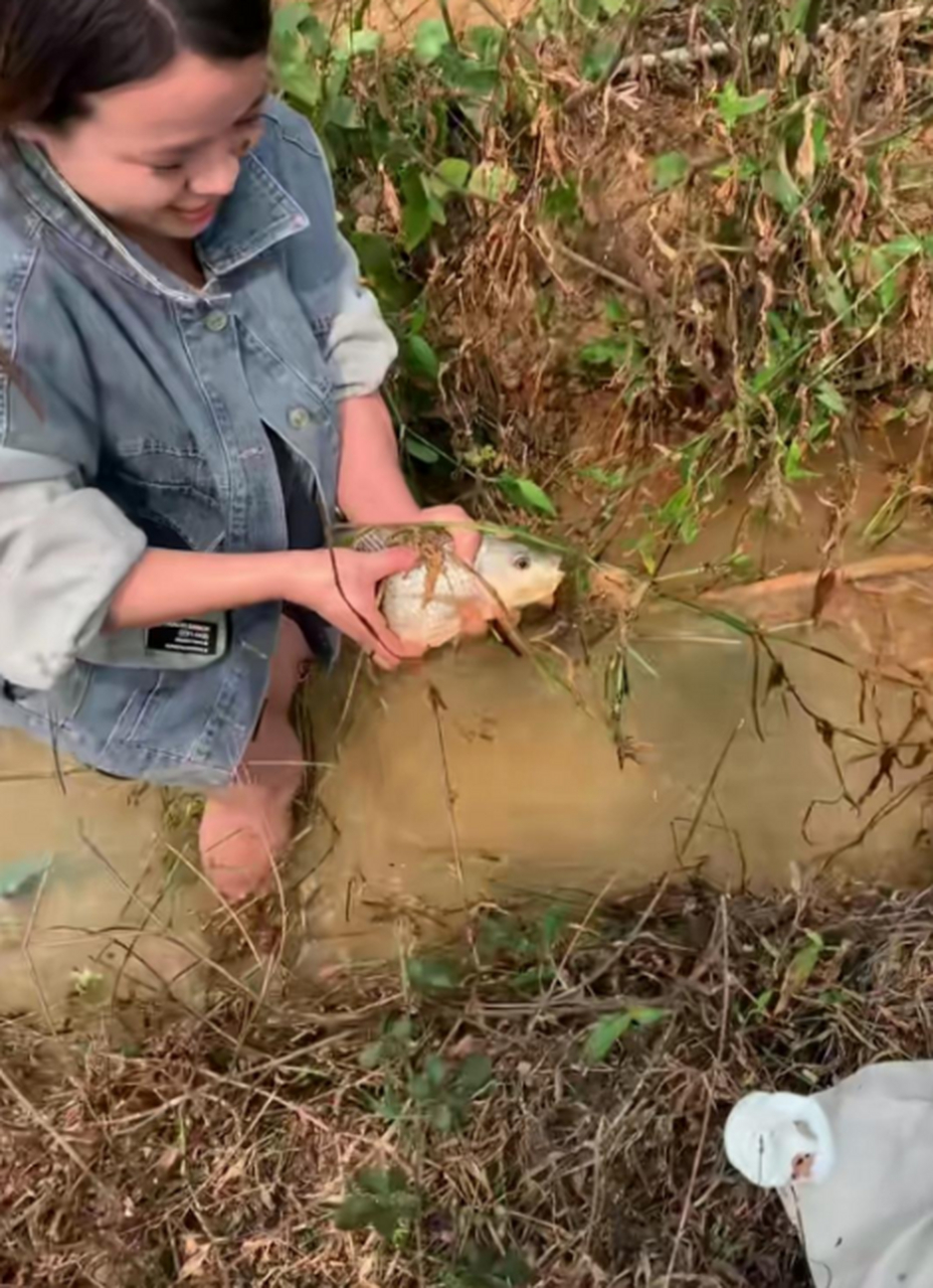 徒手抓罗飞鱼,厉不厉害!