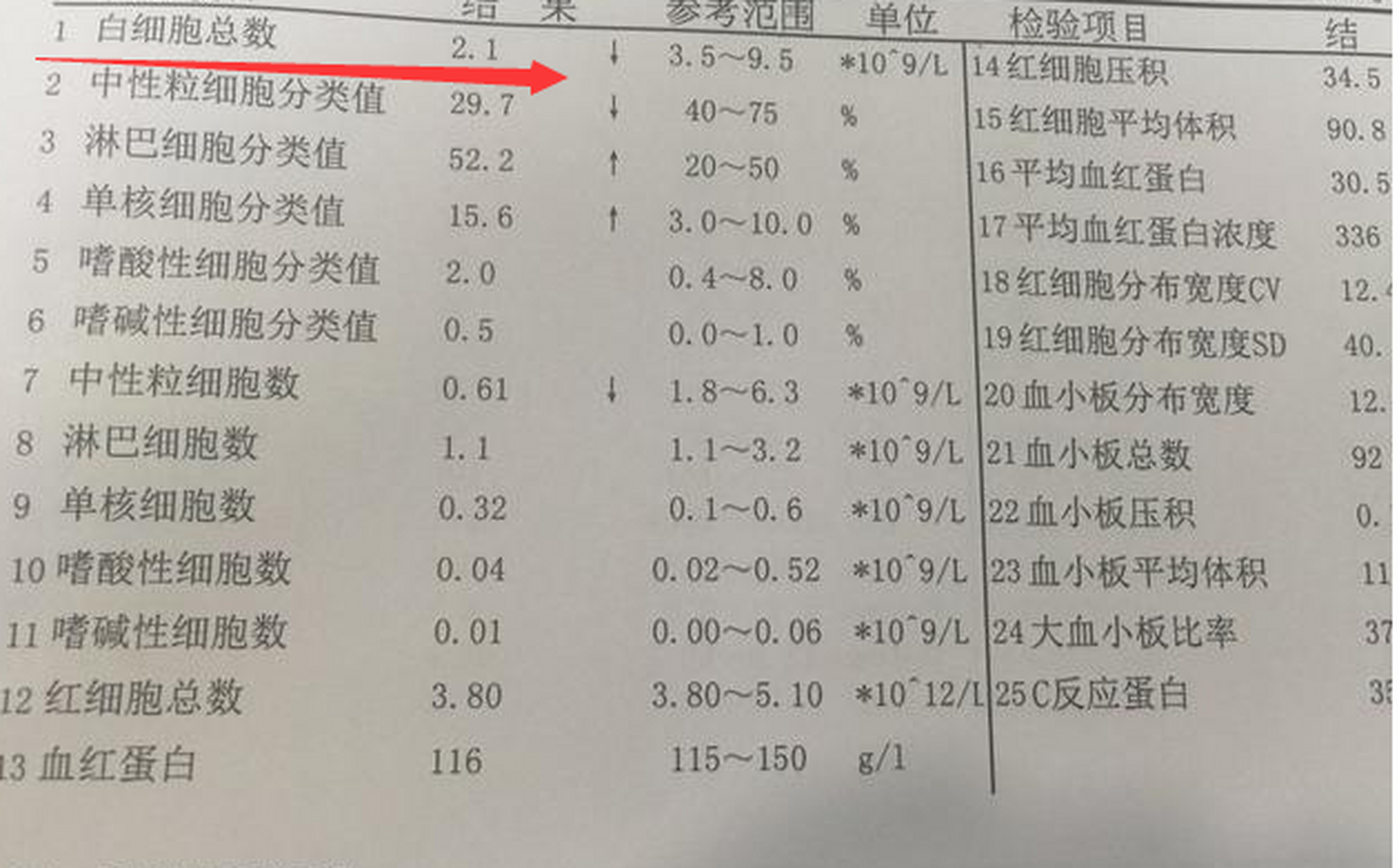 白细胞低有什么危险图片