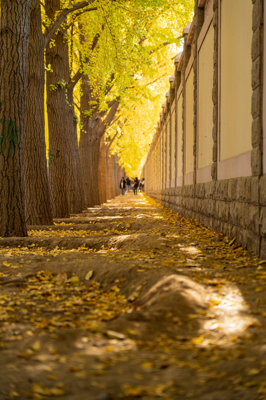 xxxx18ar游戏引爆全网热议，玩家反馈褒贬不一，核心玩法引发争议，三百万用户在线讨论热度空前。