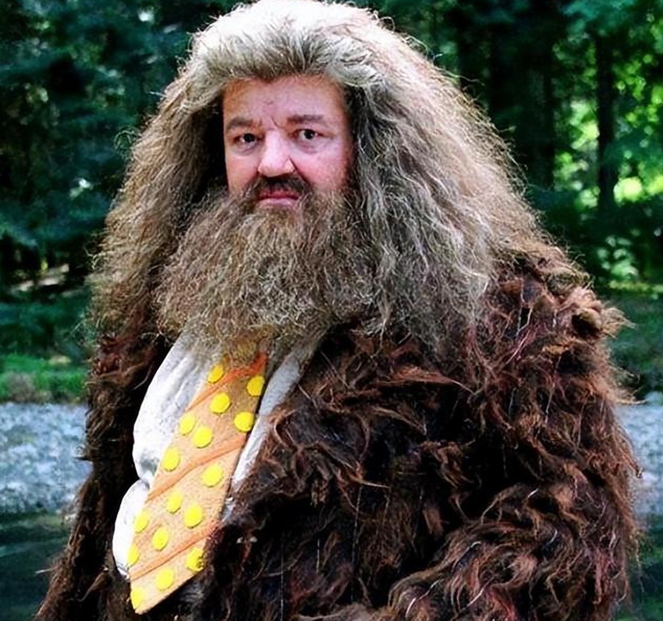 10月15日,从外媒方面传来确定的消息,《哈利·波特》之中的鲁伯·海格