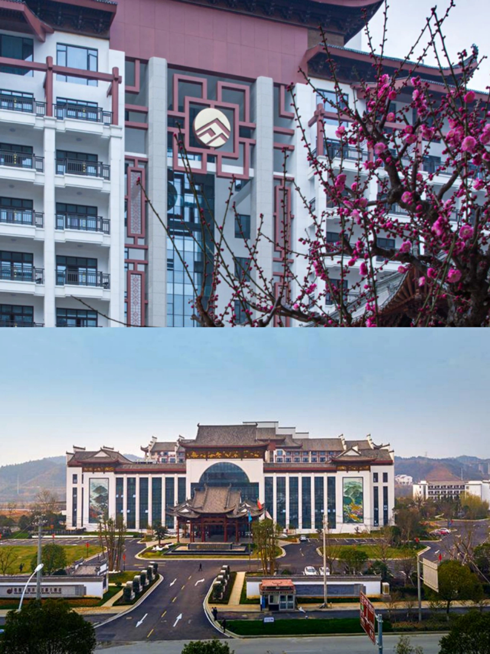 婺源鑫邦开元名都大酒店一起去油菜花田 婺源什么时候来,都是醉美的