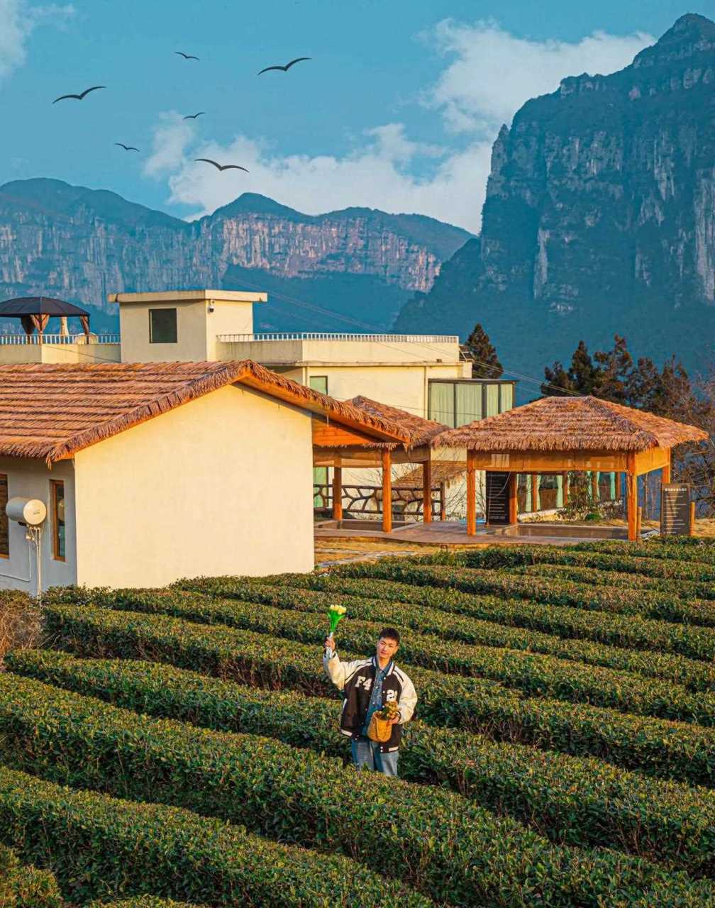 恩施大峡谷民宿哪家好(恩施大峡谷农家院有哪些)(湖北恩施大峡谷民宿