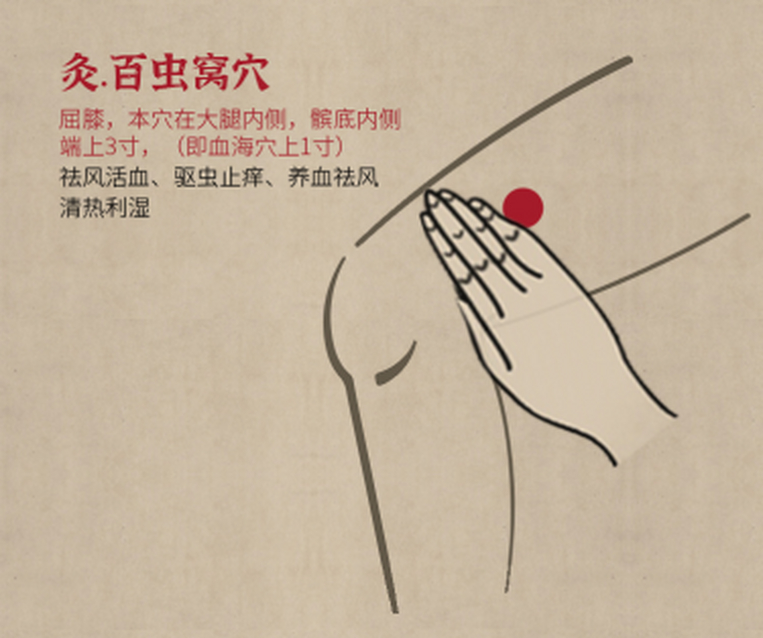 百虫窝为经外奇穴;"百"指数量很多,"虫"指身体