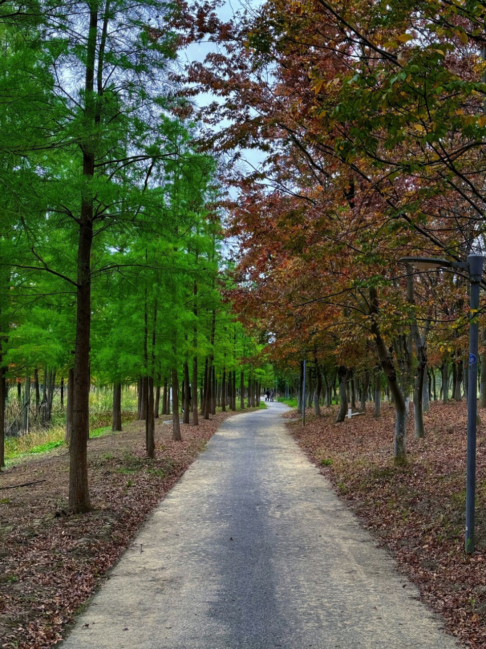 常州市新龙生态公园图片