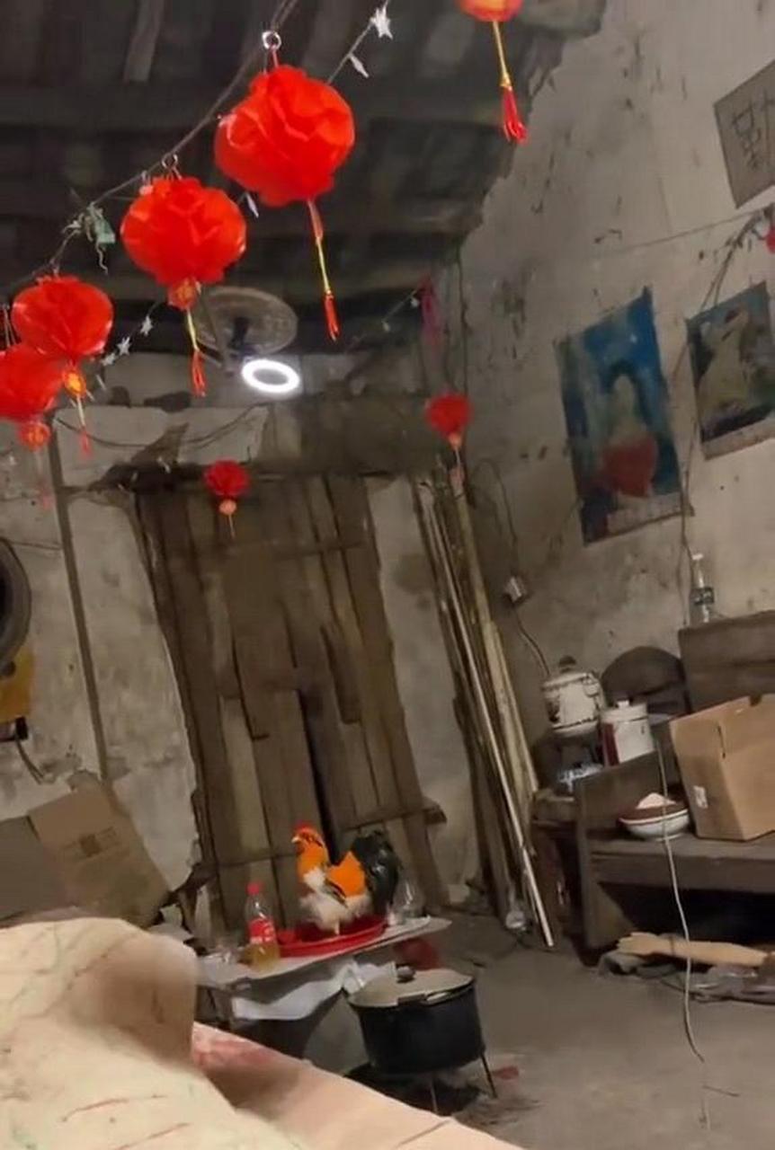 还是老家的房子住着舒心 #搞笑趣味图