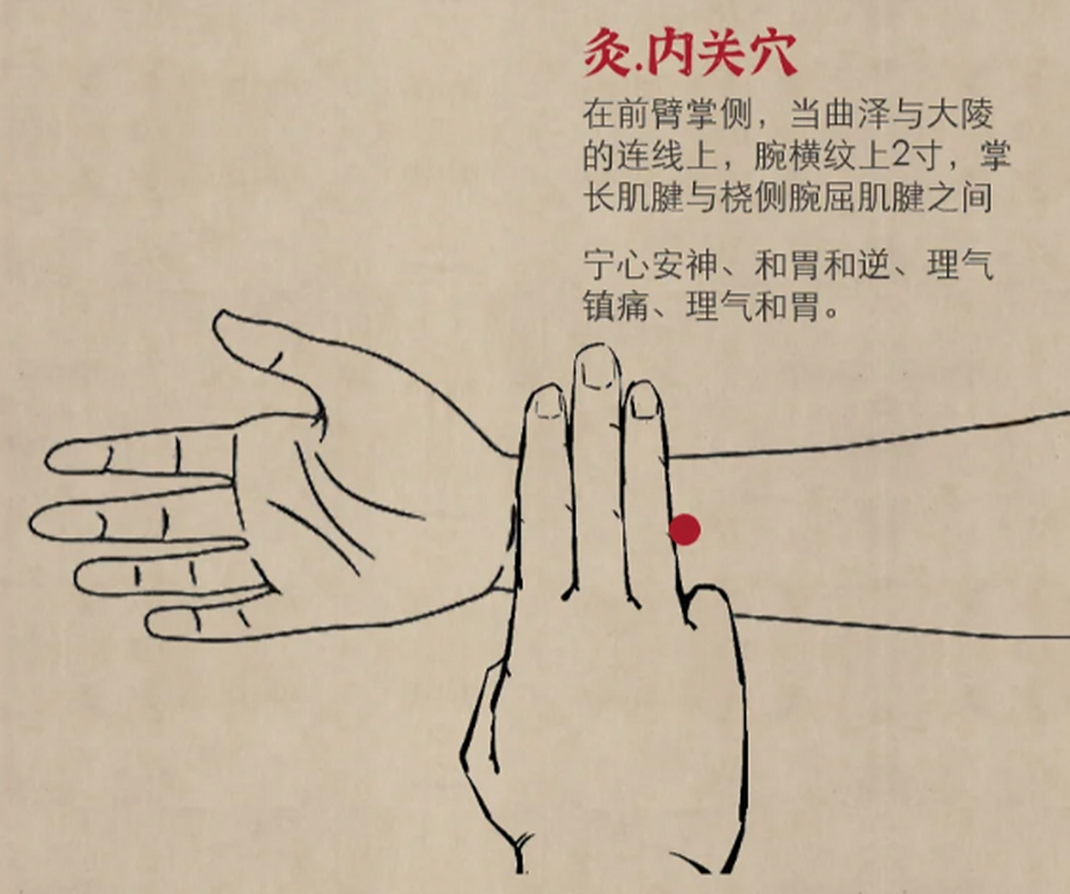 内即内侧,与外相对,关即关隘,此穴在前臂内侧要处,犹如关隘,故名内关