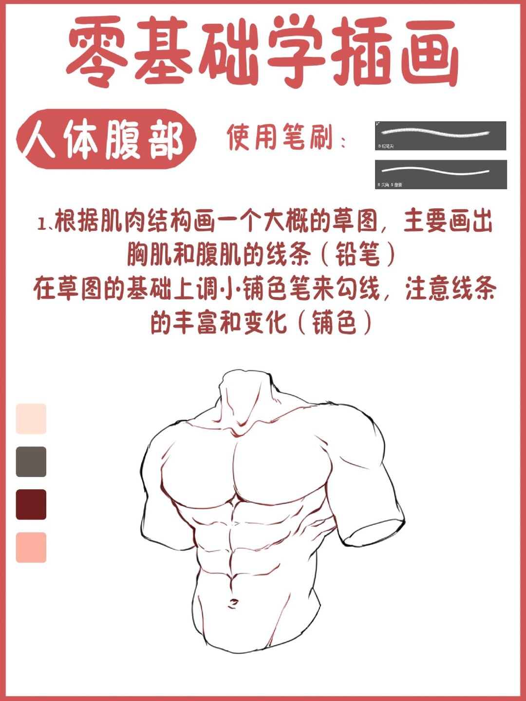 零基础学插画 男性胸腹肌画法