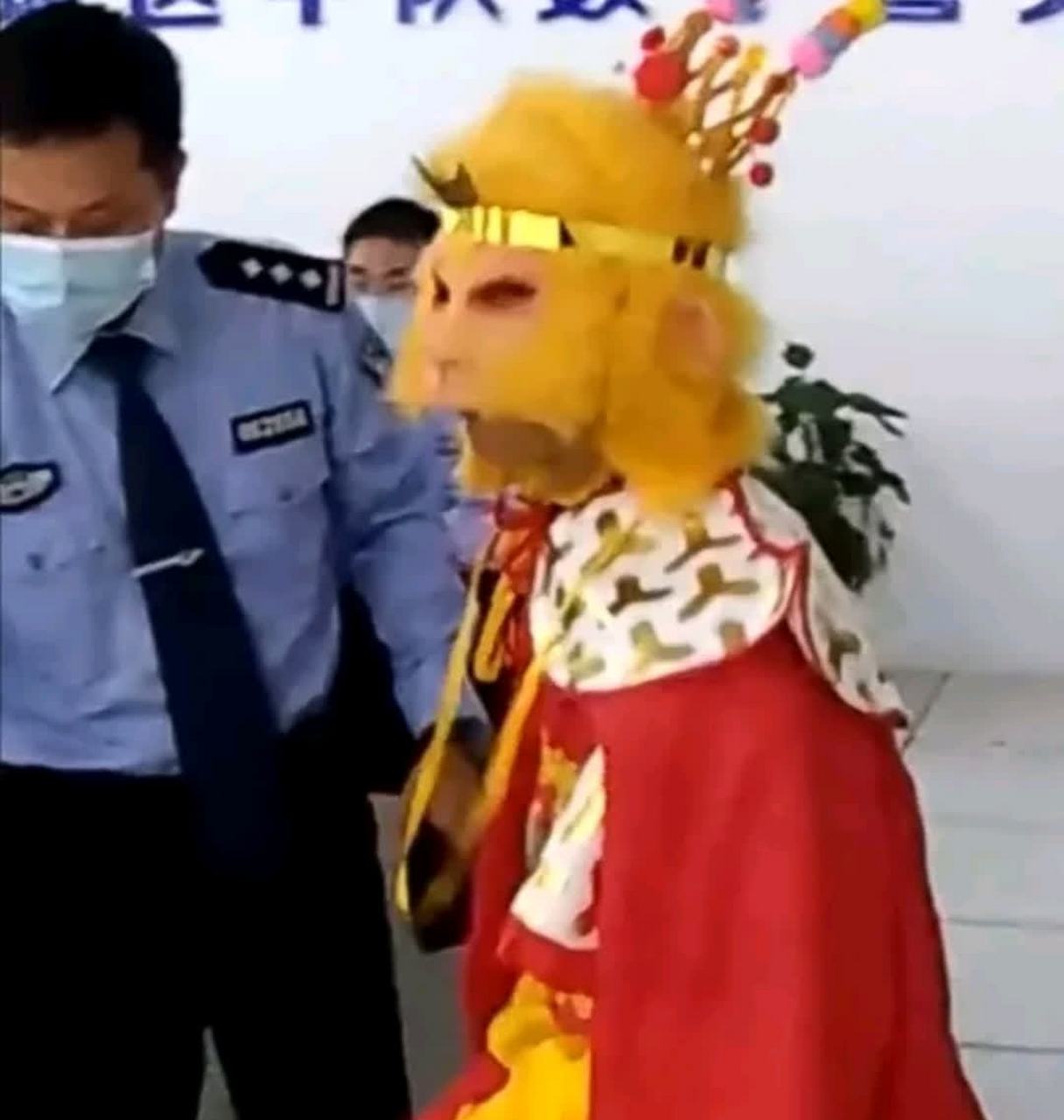 网友:就算你是孙悟空,闯红灯也会被警察叔叔抓到!  [左遮脸][开心]