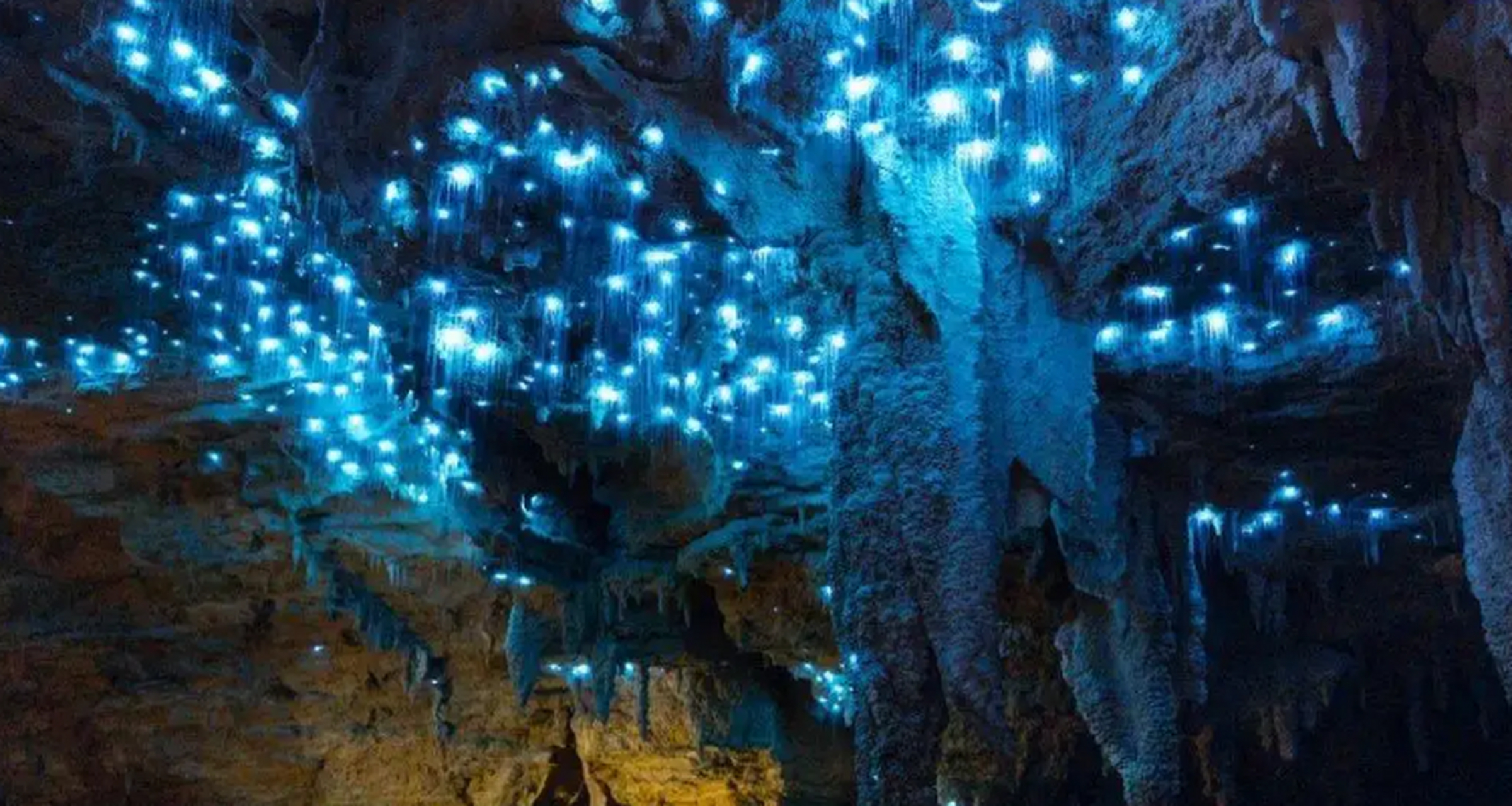 世界奇观 萤火虫洞——新西兰 成千上万的萤火虫在岩洞内熠熠生辉,灿