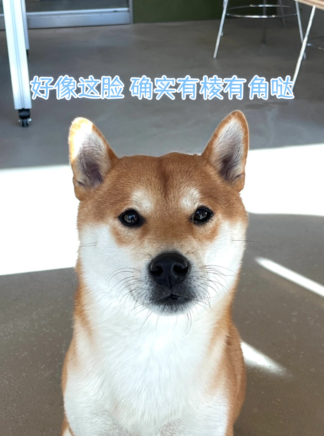 好像这脸 确实有棱有角哒