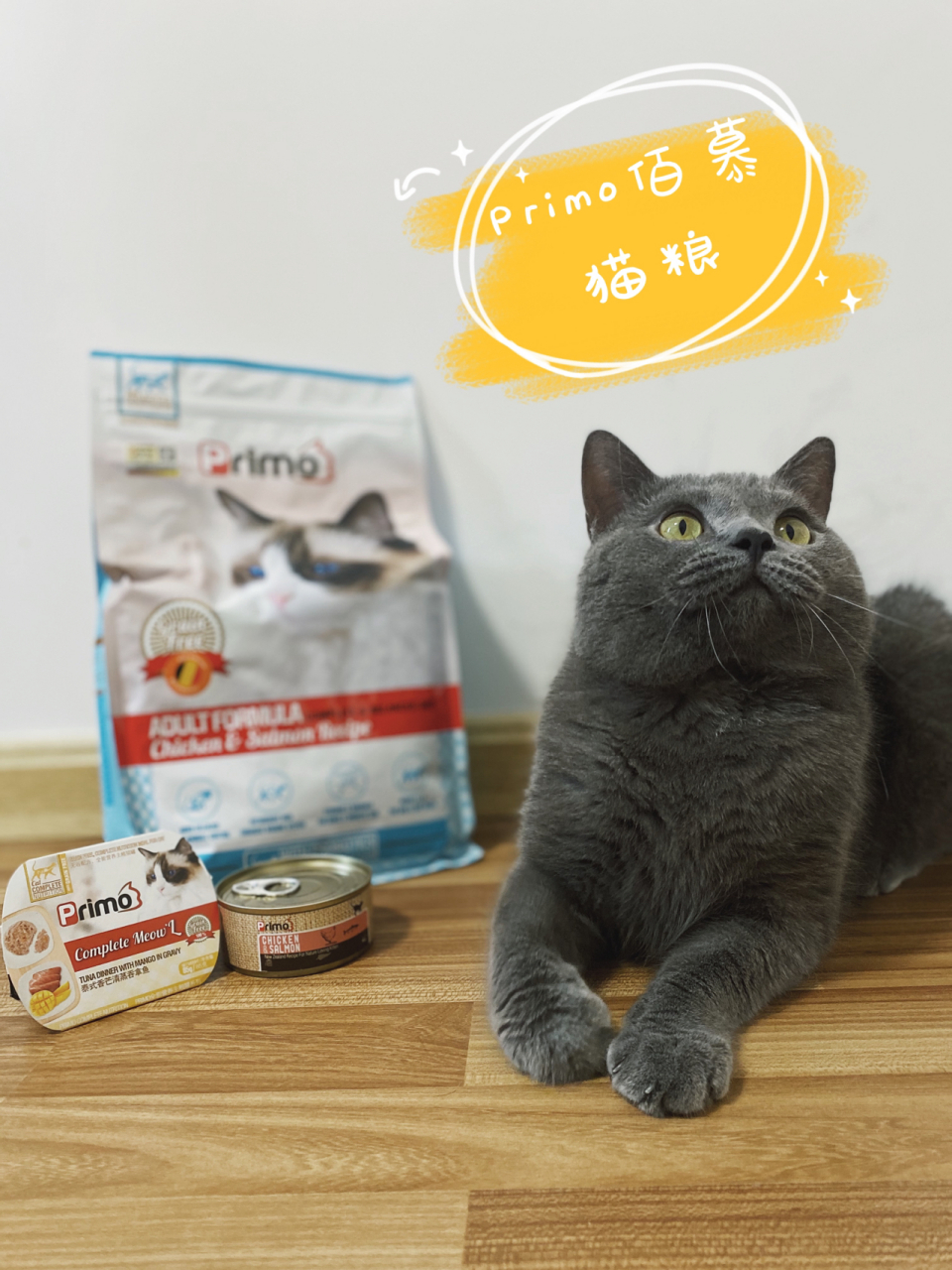 高性价比的进口粮primo鸡肉三文鱼猫粮 奥利奥最近爱上了primo的猫粮