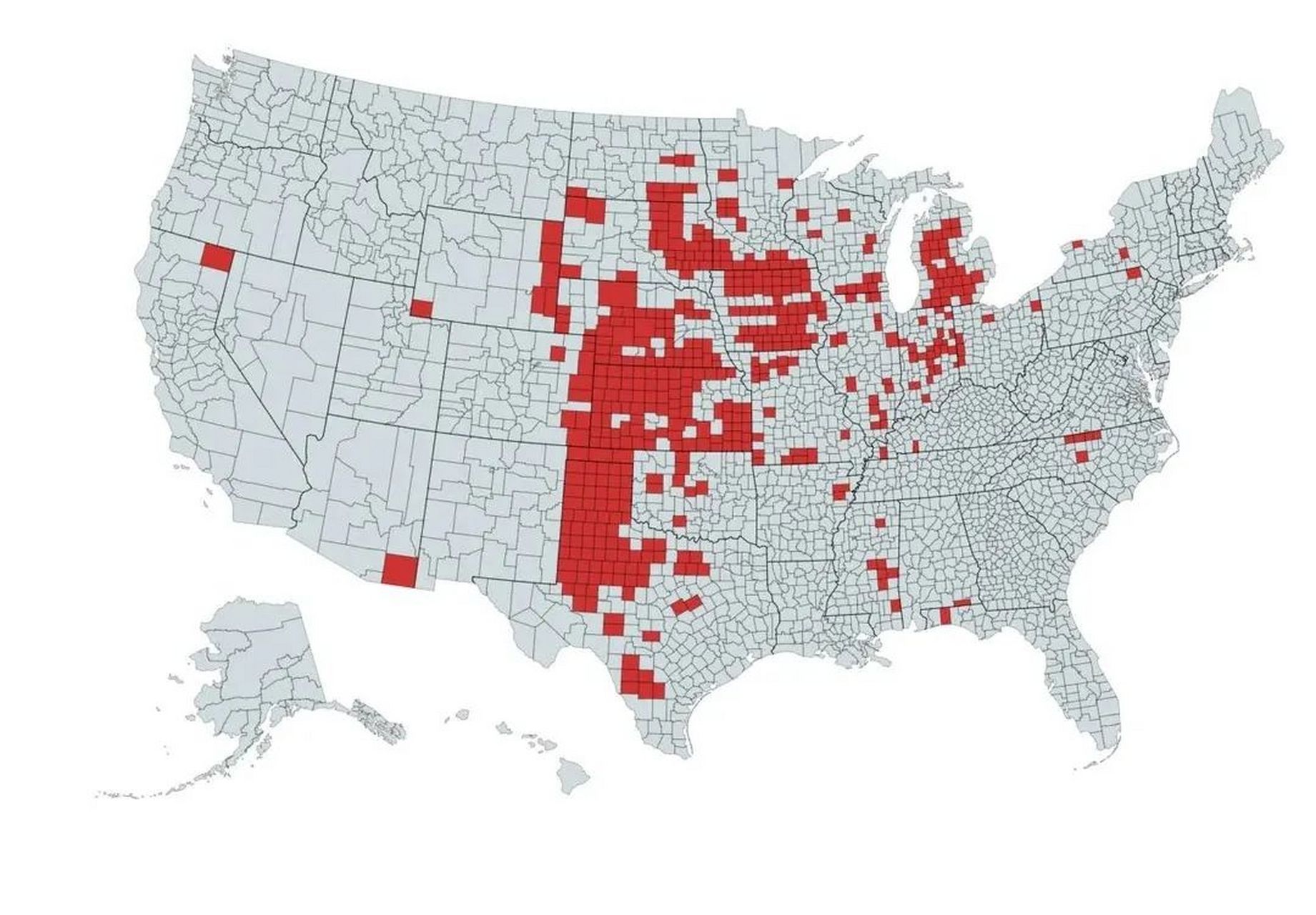 美国人眼中的美国是什么样儿的.