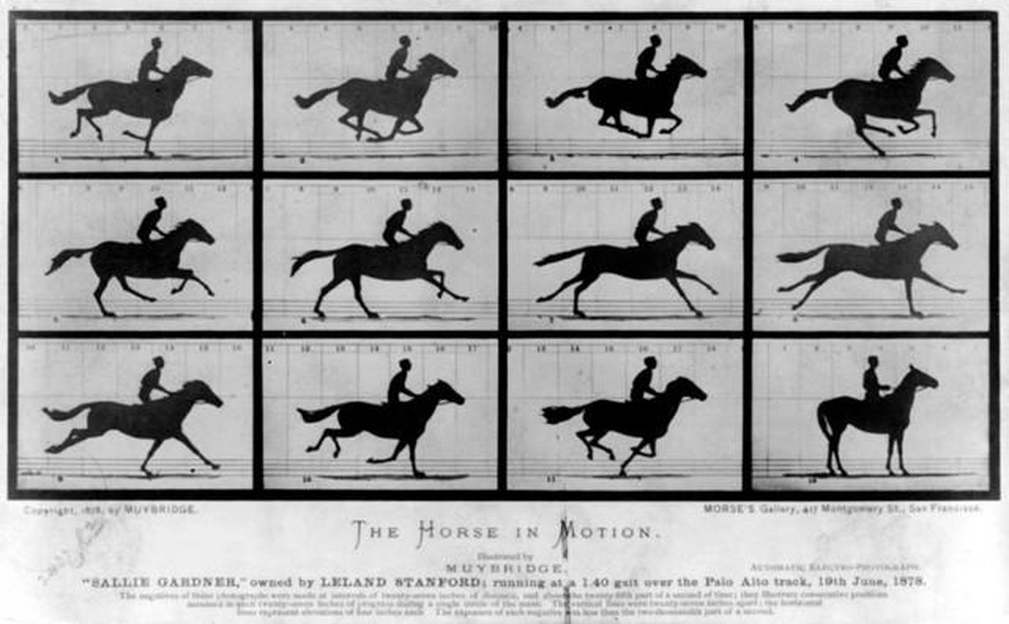 最常见的电影帧数是多少?相信经常看电影的朋友都知道:24帧.