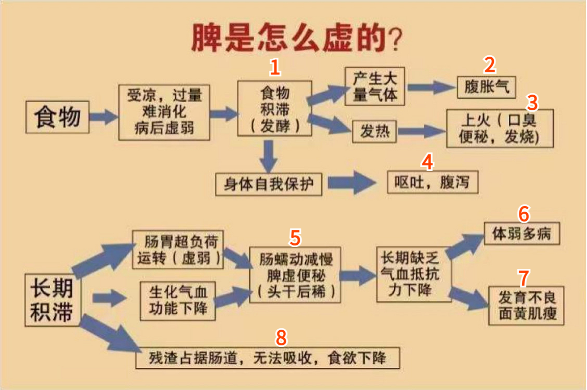 脾虚的表现和症状图片