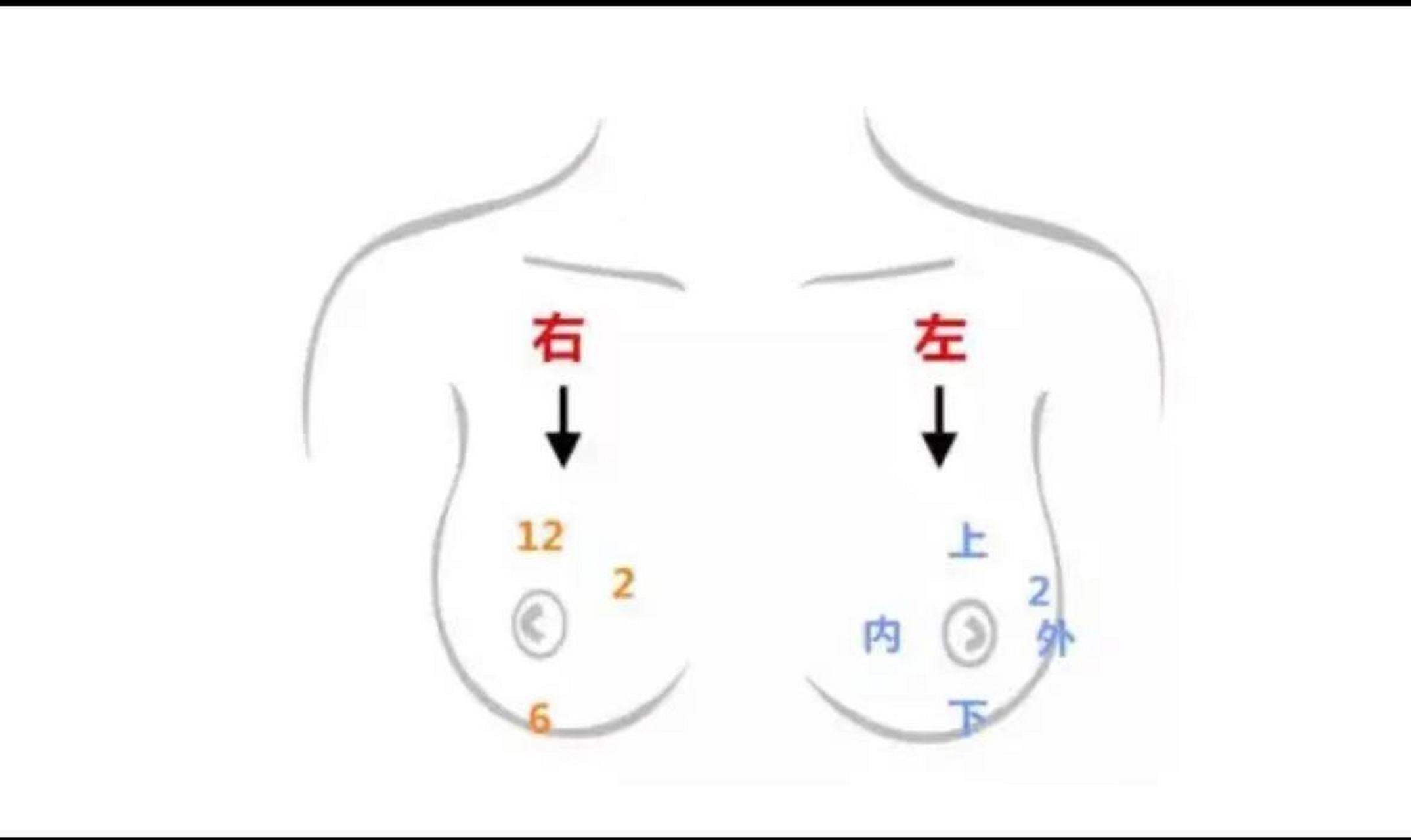 左乳10点方向位置图图片